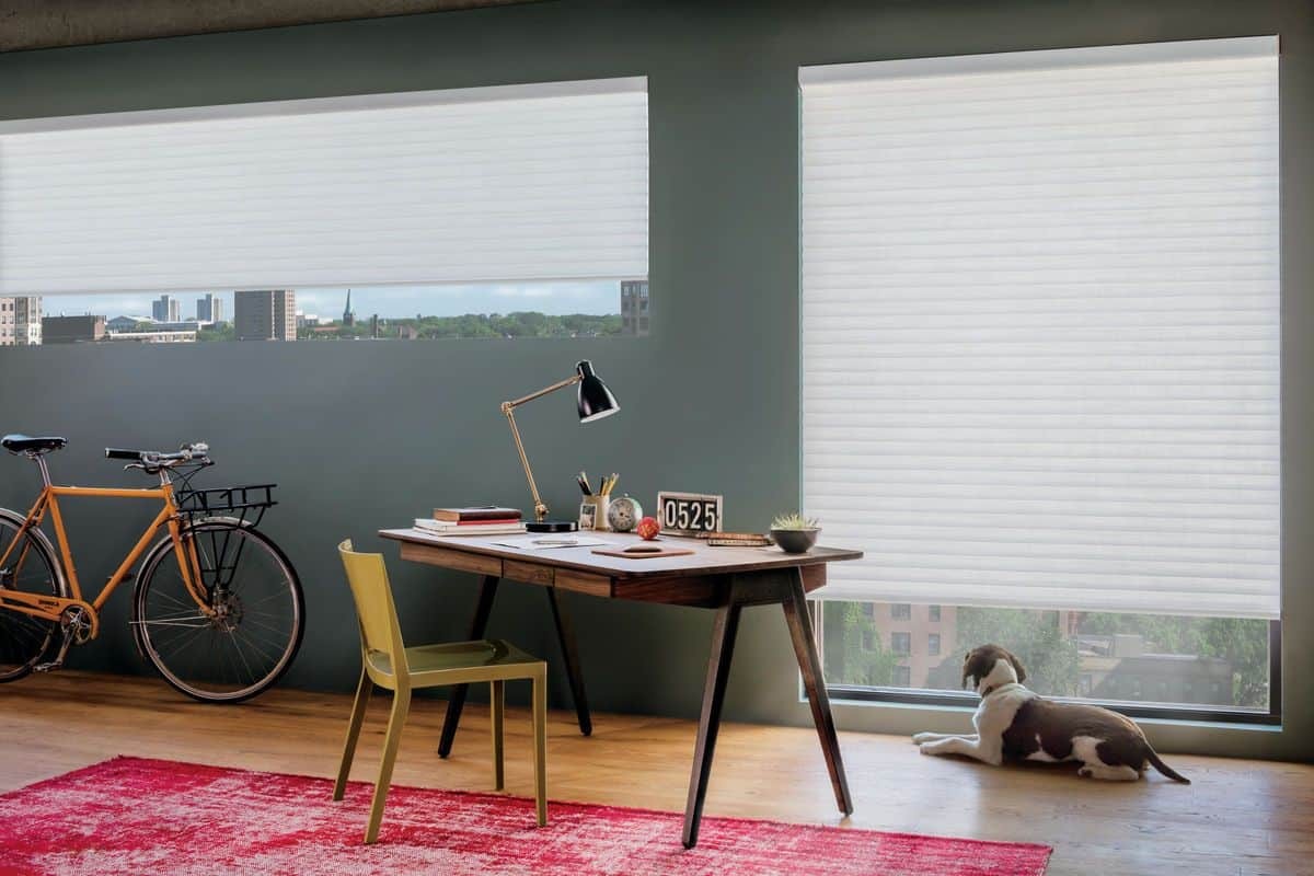 Hunter Douglas  Sonnette® Roller Shades installed in an apartment over two large windows