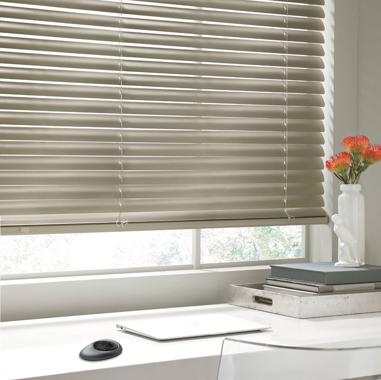 Hunter Douglas Modern Precious Metals® Mini Blinds near Bloomington, Illinois (IL) 